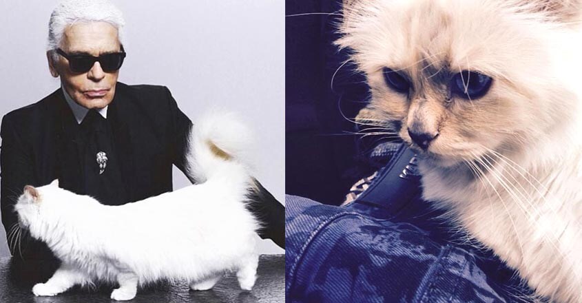 Karl Lagerfeld-cat Karl Lagerfeld-cat